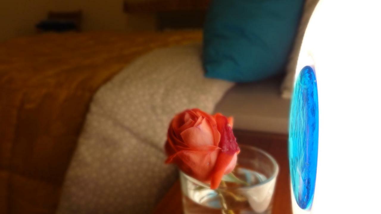 Livada Appartement Gorizia Buitenkant foto